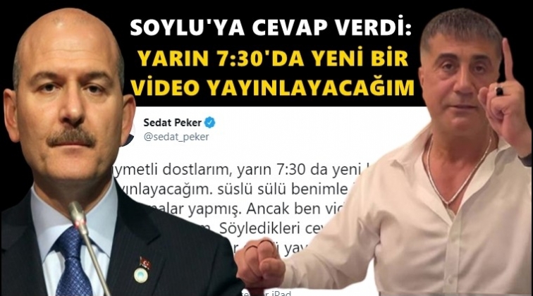 Sedat Peker'den Soylu'ya yanıt...