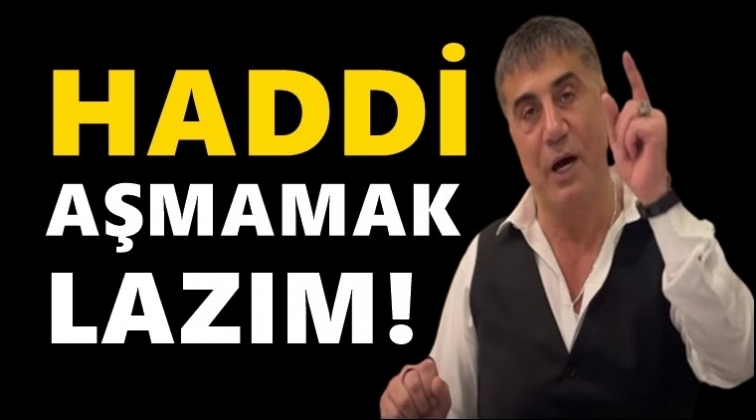 Sedat Peker'den yangınlarla ilgili a&ccedil;ıklama...