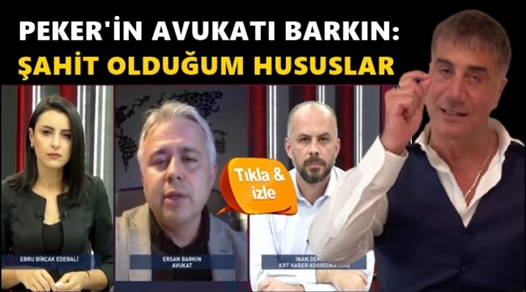 Sedat Peker'in avukatı iddiları canlı yayında doğruladı!