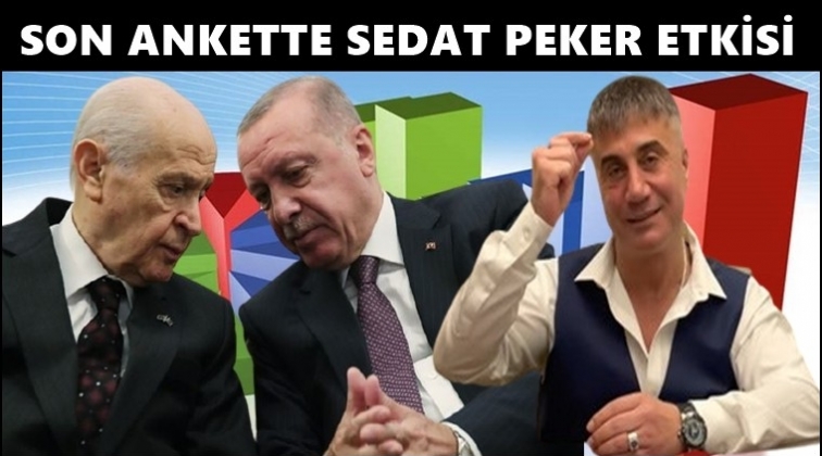 Sedat Peker'in iddiaları son ankete b&ouml;yle yansıdı...