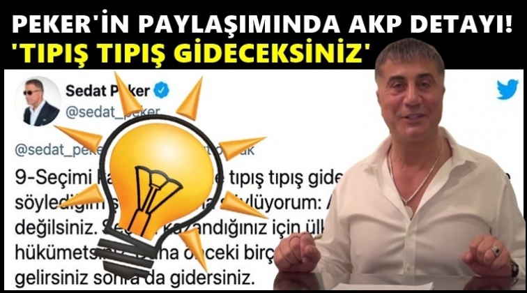 Sedat Peker'in son paylaşımında AKP detayı!
