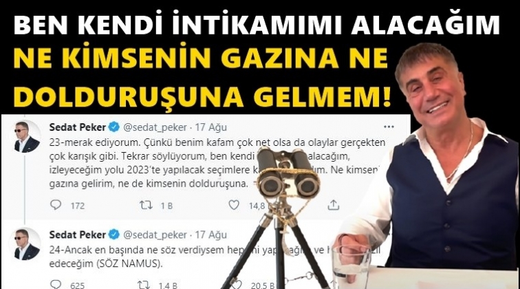 Sedat Peker'in tweetlerinde g&ouml;zden ka&ccedil;an detay!