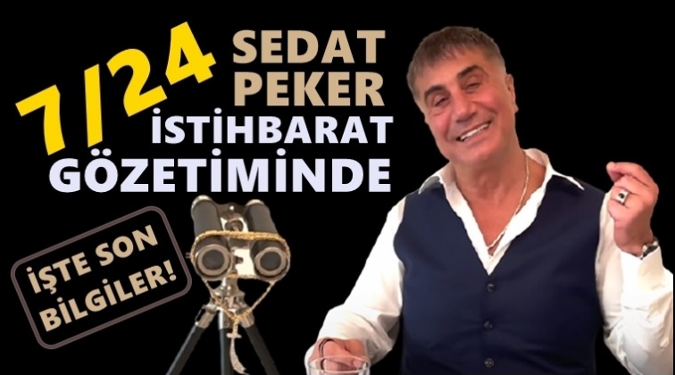Sedat Peker'le ilgili yeni gelişme...