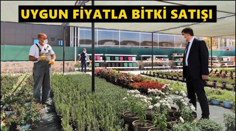 Şehitkamil bitki &uuml;retip ucuza satıyor...