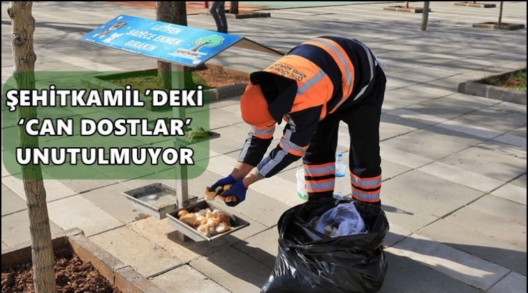 Şehitkamil sayısını 3 kat arttırdı...