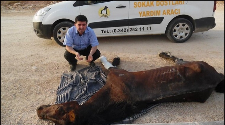 Sel mağduru canlara CAHİDE kucak a&ccedil;tı...