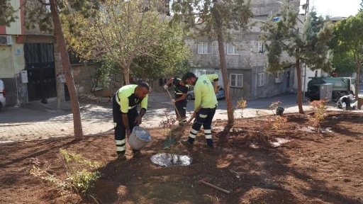 Selimiye Mahallesi’nde park onarım çalışmaları başladı 
