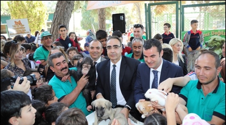 Şempanze Can ilgi g&ouml;rd&uuml;