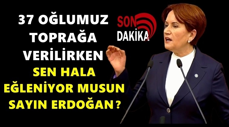 Sen hala eğleniyor musun sayın Erdoğan?
