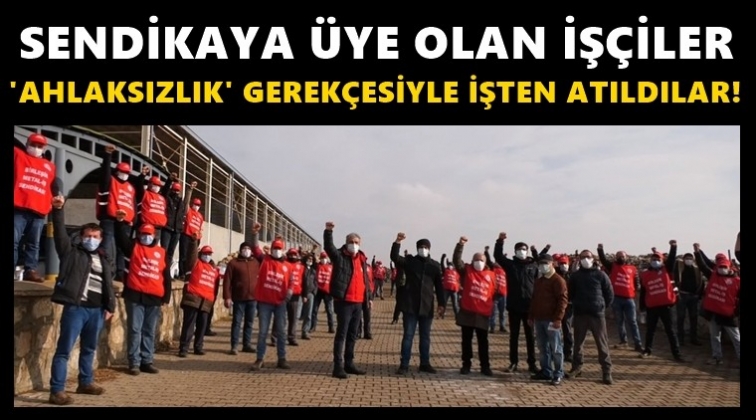 Sendikaya &uuml;ye oldular, işten atıldılar!