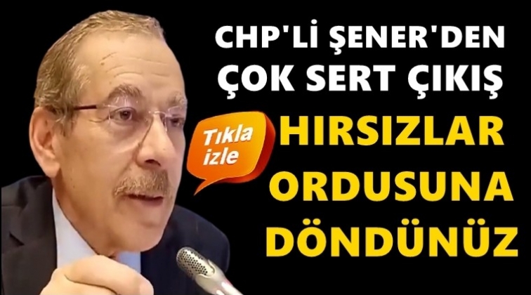 Şener’den AKP’lilere: Hırsızlar ordusuna döndünüz!