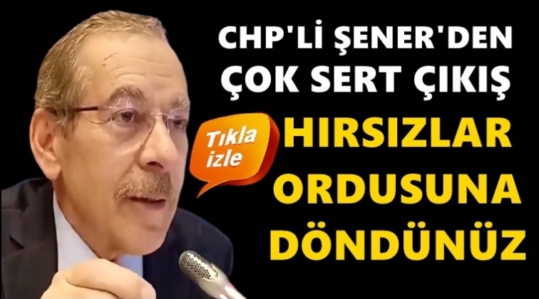 Şener&rsquo;den AKP&rsquo;lilere: Hırsızlar ordusuna d&ouml;nd&uuml;n&uuml;z!
