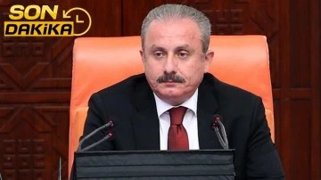 Şentop'tan Meclis'e toplantı &ccedil;ağrısı...