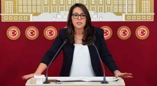 Sera Kadıgil'e 'cumhurbaşkanına hakaret' ve 'tehdit' soruşturması