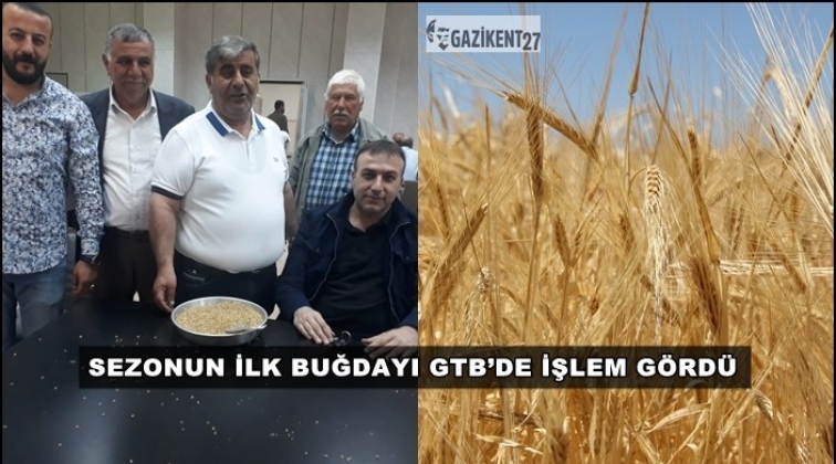 Sezonun ilk buğdayı 1 lira 46 kuruştan işlem gördü