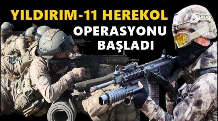 Siirt&rsquo;te &lsquo;Yıldırım-11 Herekol&rsquo; operasyonu