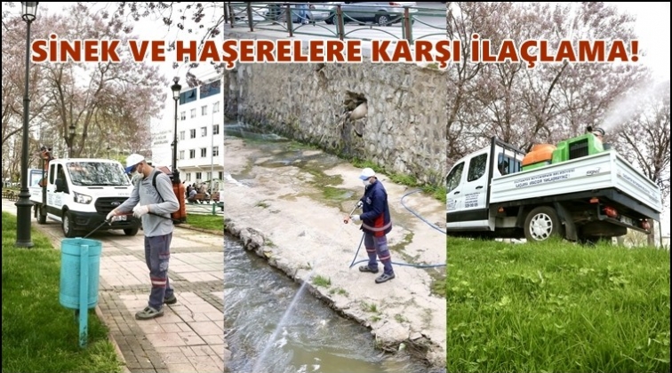 Sinek ve haşerelere y&ouml;nelik ila&ccedil;lama