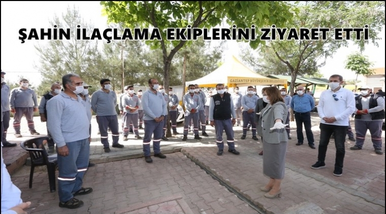 Sinek ve &uuml;veze karşı ila&ccedil;lama &ccedil;alışması