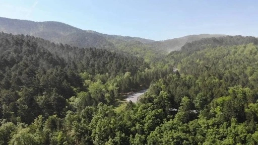 Sinop'ta ormanlara giriş yasaklandı!