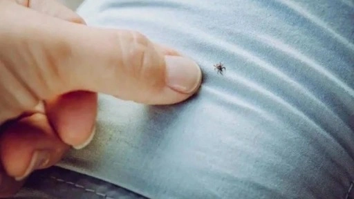Sivas’ta KKKA alarmı: Ölü sayısı 6'ya yükseldi!