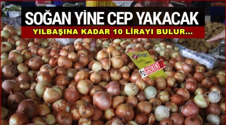 Soğan fiyatı yılbaşına kadar 10 lirayı bulacak