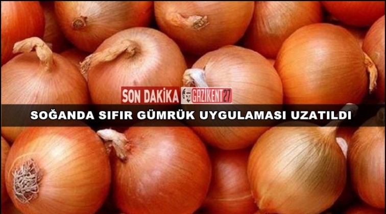 Soğanda ‘sıfır gümrük’ uygulaması uzatıldı