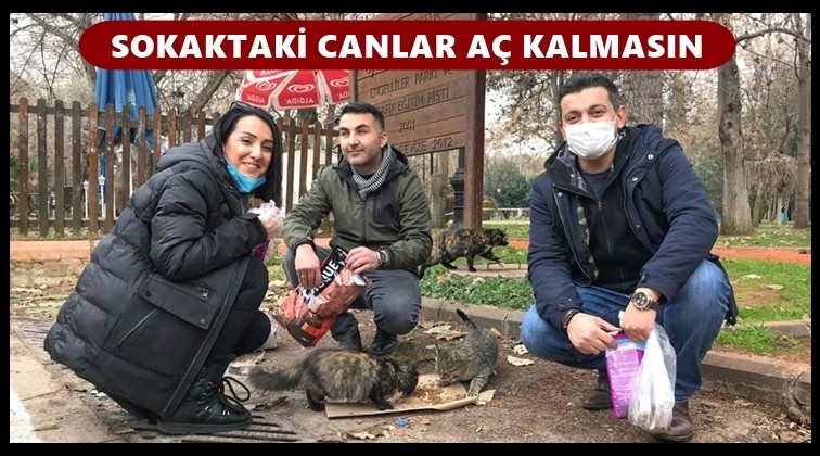 Sokak hayvanlarına &ouml;ğretmenler el uzattı...