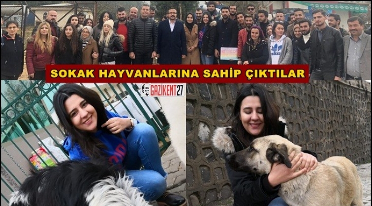 Sokak hayvanlarına sahip &ccedil;ıktılar