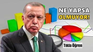 Son anket: Erdoğan ne yapsa olmuyor!