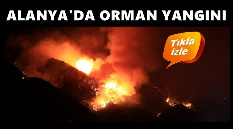 Son dakika: Alanya'da orman yangını!..