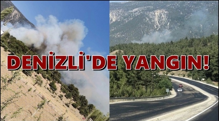 Son dakika... Bu kez de Denizli'de yangın &ccedil;ıktı!..