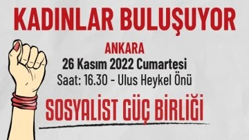 Sosyalist G&uuml;&ccedil; Birliği'nden Ankara'da buluşma &ccedil;ağrısı 