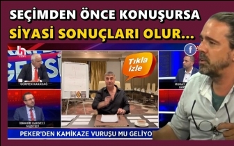 Soykan: Sedat Peker se&ccedil;imden &ouml;nce konuşursa...
