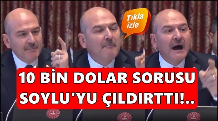 Soylu, 10 bin dolar sorusuna b&ouml;yle yanıt verdi!