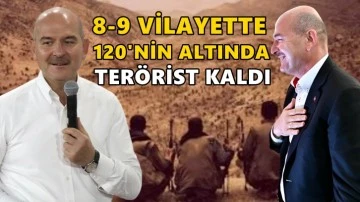 Soylu: 8-9 ilde 120'nin altında ter&ouml;rist kaldı!