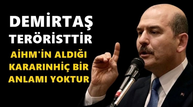 Soylu: Demirtaş ter&ouml;risttir...