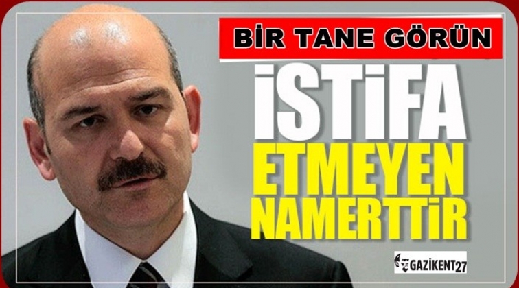 Soylu: İstifa etmeyen namerttir