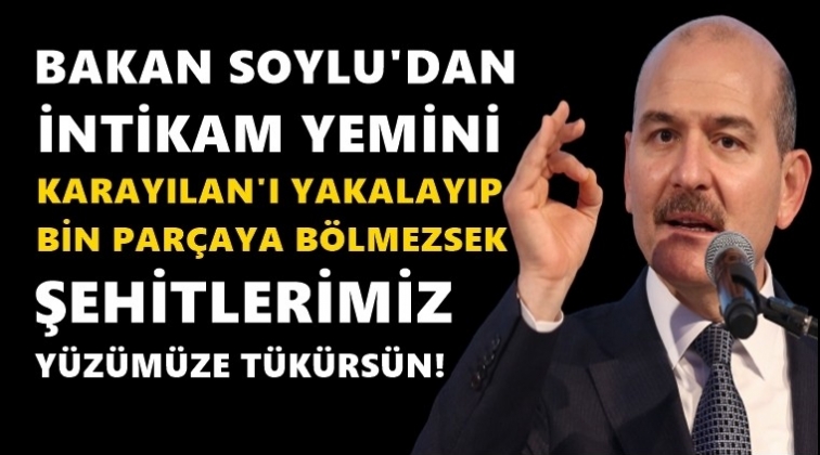 Soylu: Karayılan'ı yakalayıp bin par&ccedil;aya...