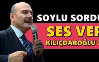 Soylu: Ses ver Kılıçdaroğlu...
