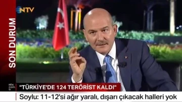Soylu: T&uuml;rkiye'de 124 ter&ouml;rist kaldı, 120 bin Suriyeli oy kullanacak