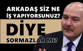 Soylu'dan 'İBB'de ter&ouml;rist personel' a&ccedil;ıklaması