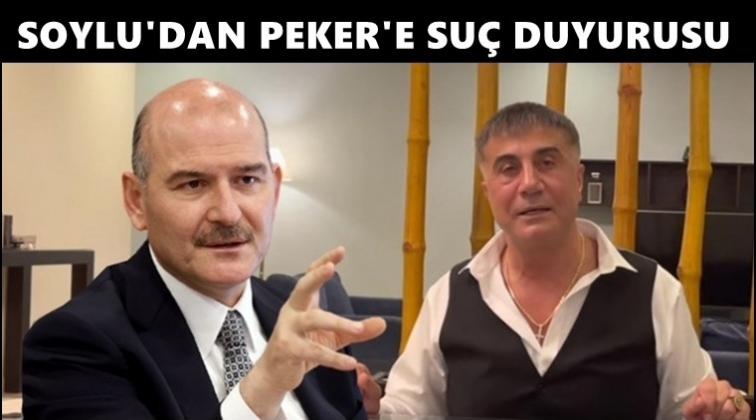 Soylu'dan, Peker hakkında su&ccedil; duyurusu