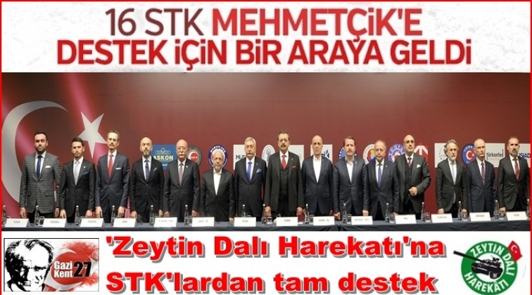 STK'lardan 'Zeytin Dalı Harekatı'na tam destek