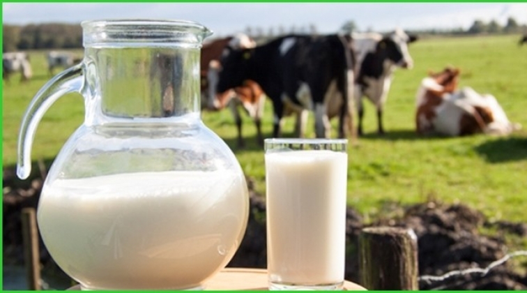 Süt ve ayran arttı, yoğurt üretimi azaldı