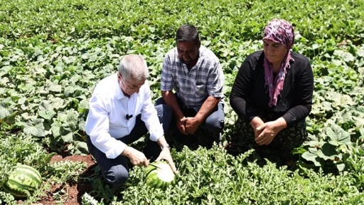 Tahmazoğlu, çiftçilerle birlikte hasat yaptı