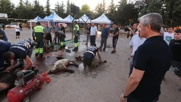 Tahmazoğlu'dan kurban kesim yerlerine ziyaret