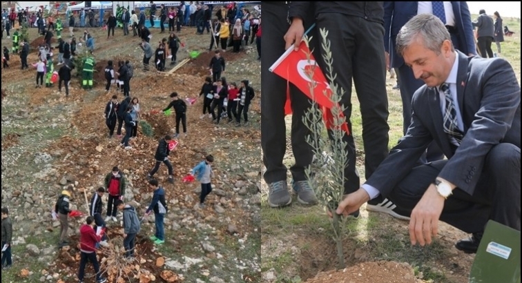 Tahmazoğlu'ndan Orman Haftası mesajı