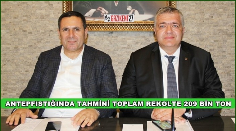 Tahmini antepfıstığı rekoltesi 209 bin 617 ton