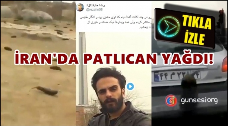 Tahran'da 'g&ouml;kten patlıcan yağdı' iddiası