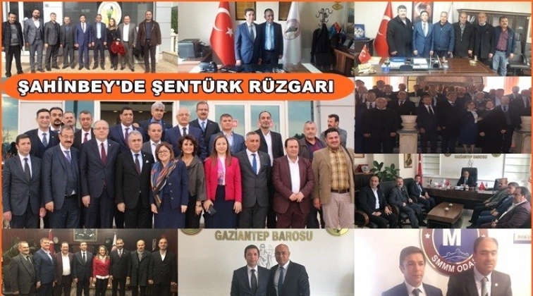 Tamer Şent&uuml;rk iddialı geliyor